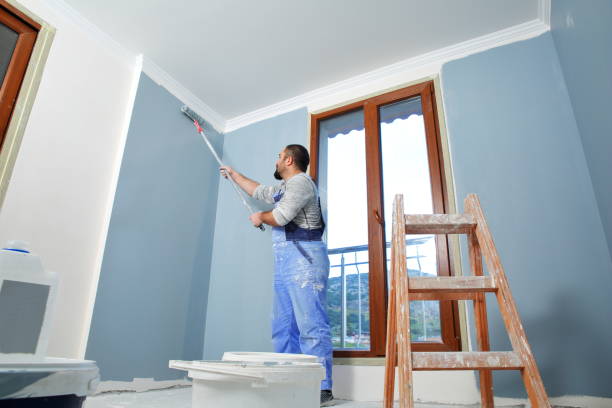 Best Drywall Crack Repair  in Chickamau, GA