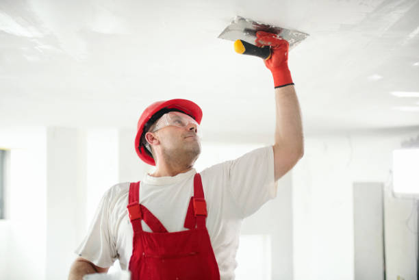 Professional Painting in Chickamauga, GA