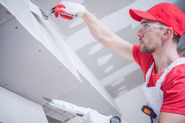 Best Drywall Sanding and Smoothing  in Chickamau, GA